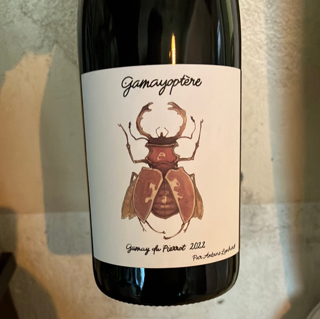 Gamayoptère, Gamay du Pierrot 2022, Antoine Lienhardt, 75cl