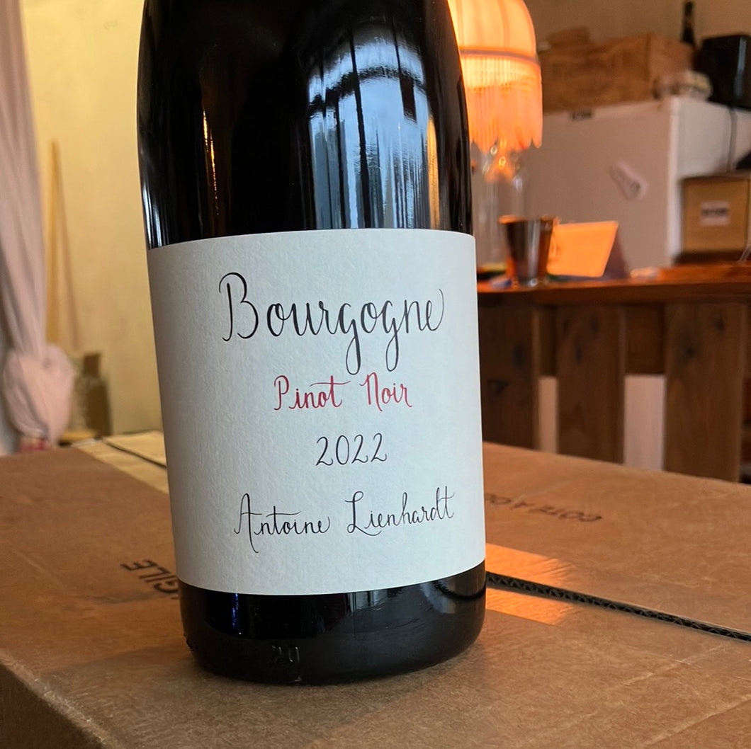 Bourgogne Pinot Noir 2022, Antoine Lienhardt, 75cl
