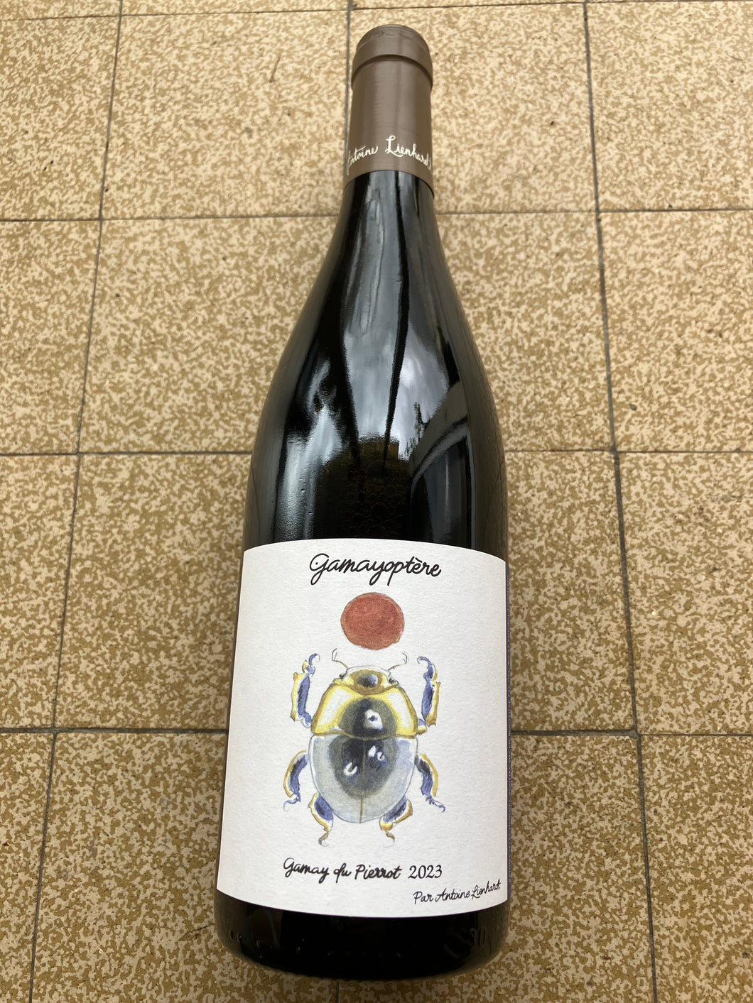 Gamayoptère 2023, Gamay du Pierrot, Antoine Lienhardt, 75cl