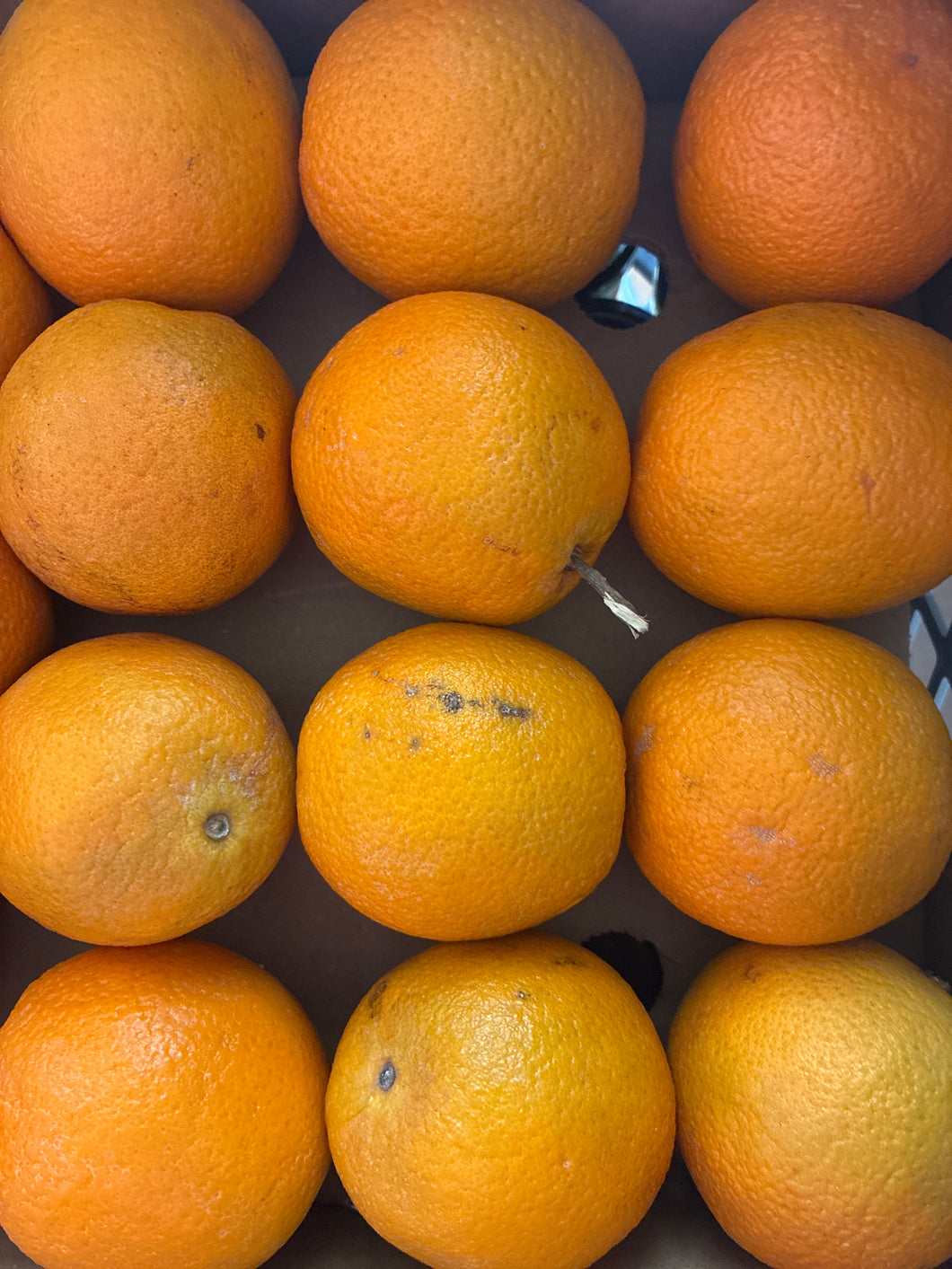 Orange pressée, 15cl
